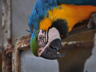 Bird Santuary Vogelburg